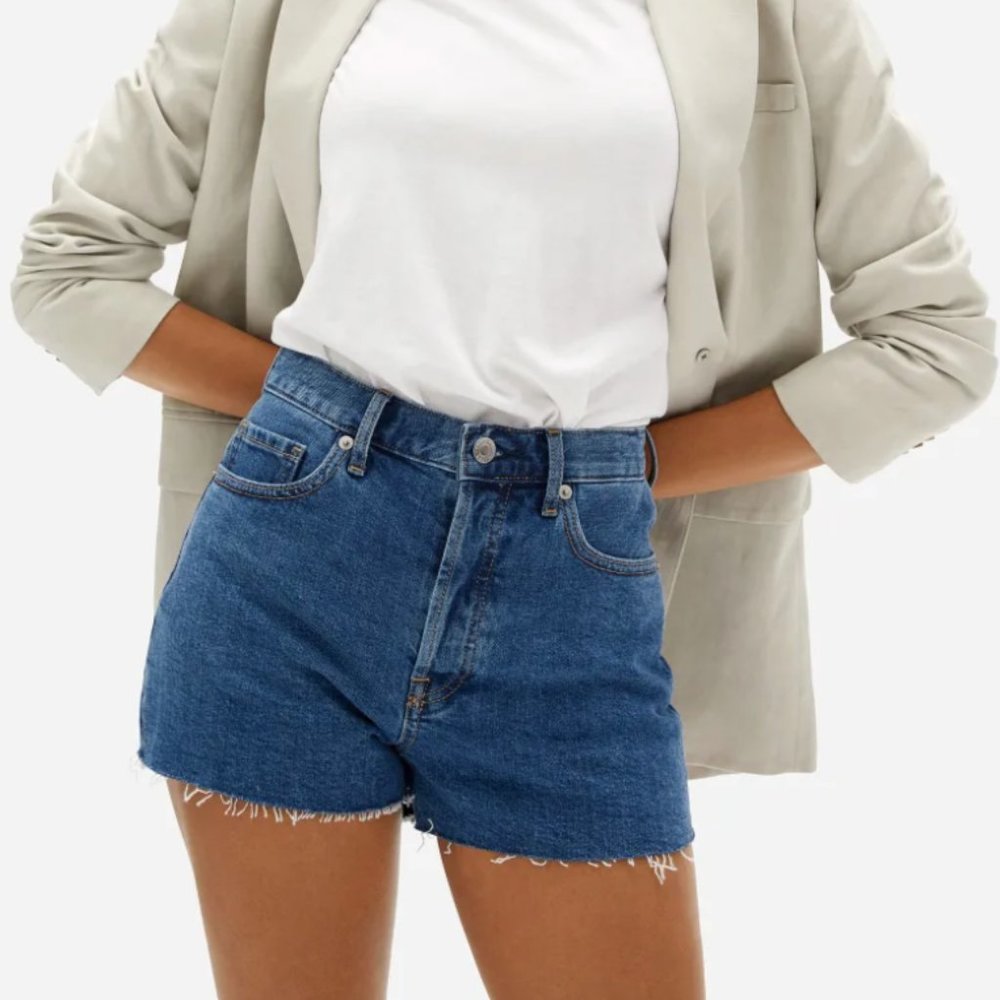 Everlane Cheeky Short - Size 25